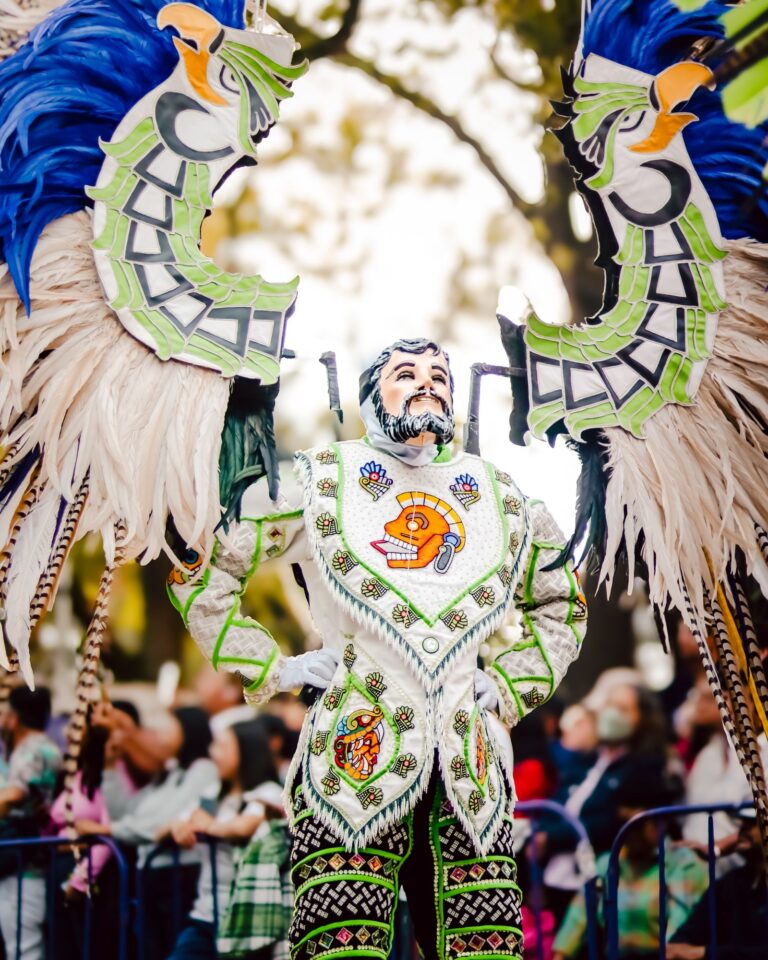 Traje de carnaval con plumas